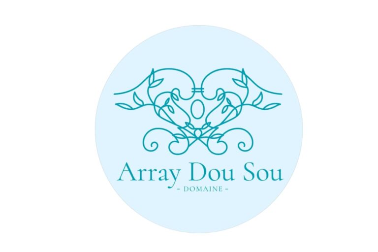 logo array dou sou